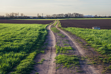 Naklejka premium Country road in Rabensburg, small town in Austria near the Slovakian border