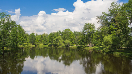 Idyllic natural beauty with lake and green trees in summer.