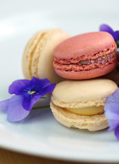 Macro close up of colourful macaron cookies.