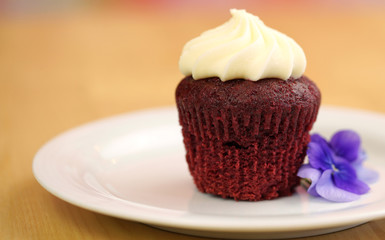 Macro closeup of red velvet cupcake with copy space.