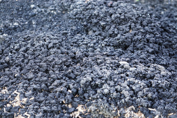Background from black soil. Textured surface. Agriculture