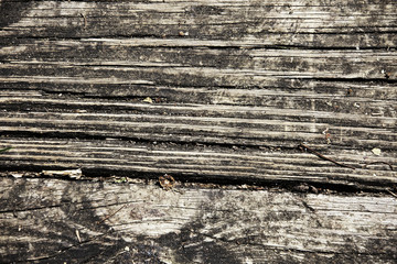 Close-up wood texture for background