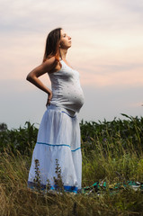 Obraz premium pregnant woman , expectant mother . dressed in white, family photo shoot at sunset in a field