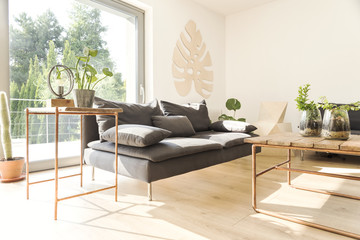 Stylish scandinavian interior with design sofa, wooden table and plants. Bright and sunny room with brown wooden parquet.