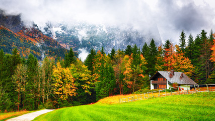 Fototapeta na wymiar Alpine forest at autumn near Grundlsee lake.