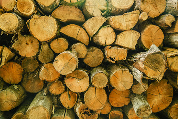 Texture of wood logs as a background