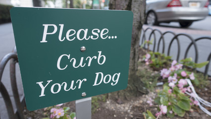 sign, green white, Please curb your dog, city sidewalk, walkway