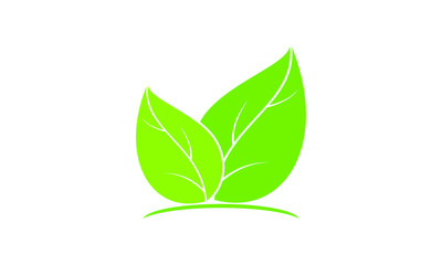 Green leaf vector