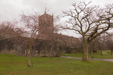 St Peter’s Church, Castle Park, Bristol, Inglaterra