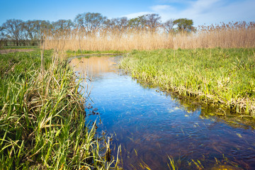 Authentic natural landscape, clouds in the sky touch the horizon, among the grass and reeds flowing small but wide creek.A beautiful view of the nature of the South of Russia in a tinted photo.