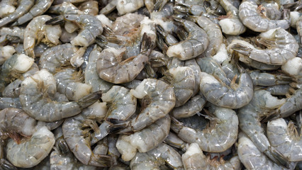lots of fresh raw uncooked shrimp