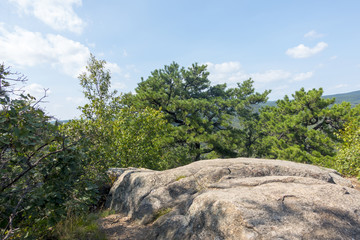 hi elevation hiking train with trees and mountains