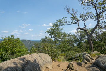 hi elevation hiking train with trees and mountains