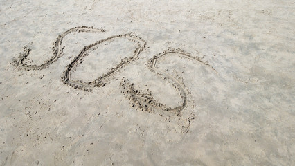 Fototapeta na wymiar sos in the sandy beach