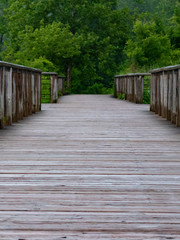 Obraz premium Long wooden boardwalk leading into a peaceful forest