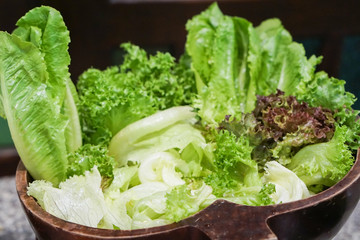 Beautiful lettuce for making salad.