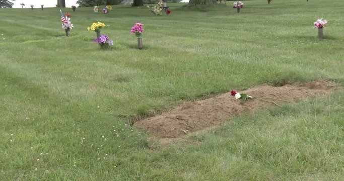 Roses On New Grave Site - Cemetery - Pan
