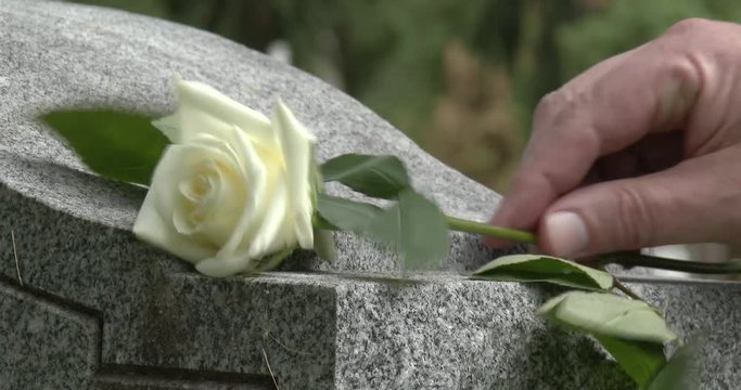 Placing Roses On Headstone In Cemetery
