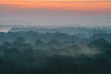 Mystical view from top on forest under haze at early morning. Mist among layers from tree silhouettes in taiga under warm predawn sky. Morning atmospheric minimalistic landscape of majestic nature.