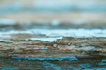 Old wood background