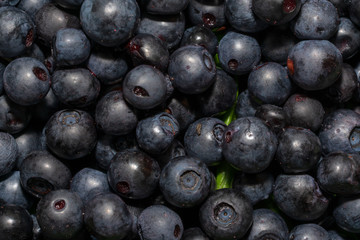 Heidelbeeren
