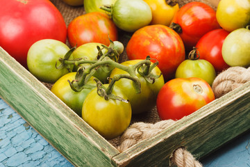 Set of ripe tomatoes in the wooden tray