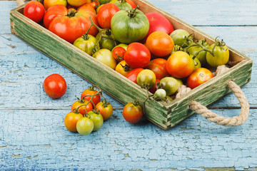 Set of ripe tomatoes in the wooden tray