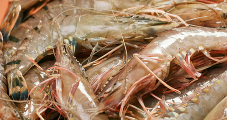 Fresh raw shrimp