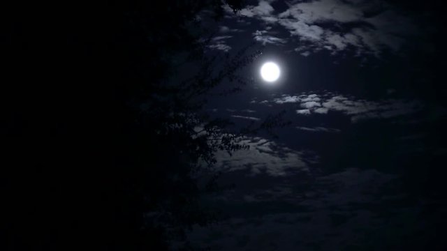 full moon landscape at night