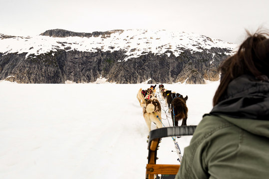 First person view of dog sled ride and experience on a glacier