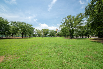 新小岩公園