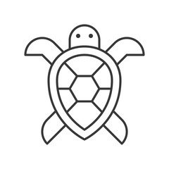 Obraz premium Sea turtle icon, set of ocean life, line design vector