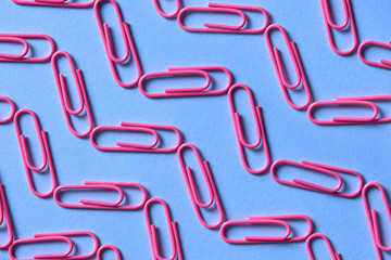 Pink paper clips isolated on blue background, close up, copy space. Top view, flat lay. Back to school, college, education concept