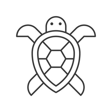 Sea turtle icon, set of ocean life, line design vector
