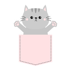 Gray cat in pink pocket. Holding hands up. Give me a hug. Cute cartoon animals. Kitten kitty character. Dash line. Pet animal . White background. T-shirt design. Baby collection. Flat design