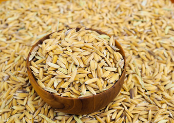 Paddy seed in wooden bowl background