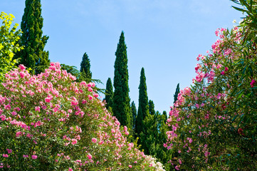 The colorful villages on the Garda Lake