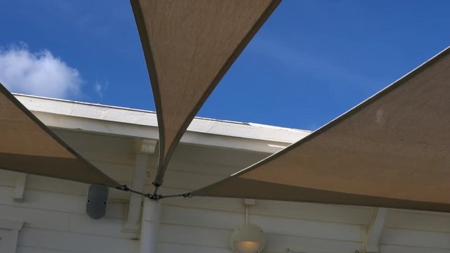 Gull walks on a rooftop from left to the right; 1080p