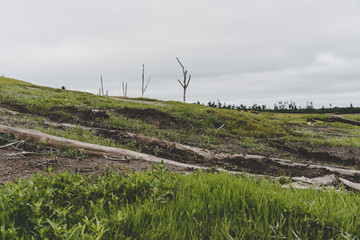 Green hills of Tyrma river