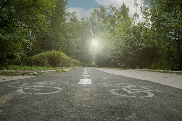 Bike path in the park in the early morning