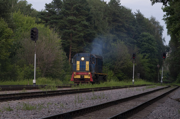 Train on the railway among the trees