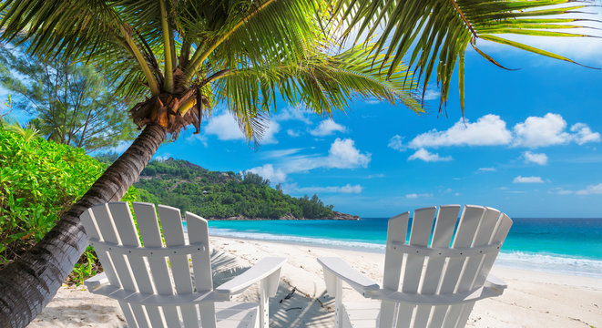 Beach chairs on sandy beach with palm and turquoise sea.  Summer vacation and travel concept.   - Powered by Adobe