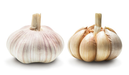 Garlic set isolated