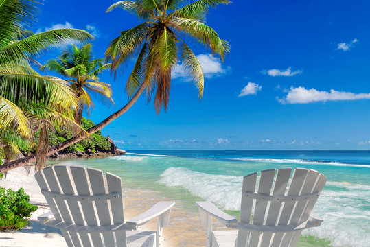 Fototapeta Beach chairs on sandy beach with palm and turquoise sea.  Summer vacation and travel concept.  