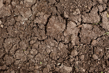 Dried cracked earth soil ground texture background.