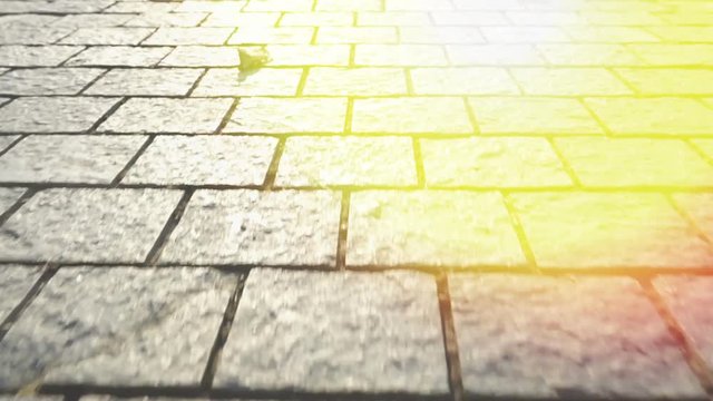 Pavement made of stone. Beautiful garden walkway. Shine of sunlight.