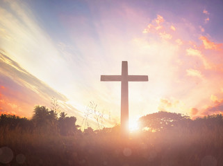 Fototapeta na wymiar Concept conceptual black cross religion symbol silhouette in grass over sunset or sunrise sky
