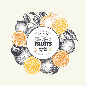 Orange fruit design template. Hand drawn vector fruit illustration. Engraved style vintage citrus background.