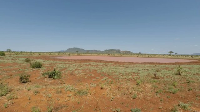 green savanna landscape in kenya