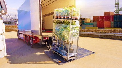 delivery by truck . Freight Containers .  Truck logistics building . Concept of wholesale .  Cargo Transportation - Truck in the warehouse . transportation of freight Europe  . 